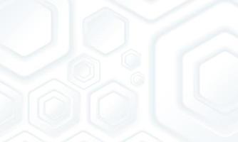 Hexagonal White Texture Background vector