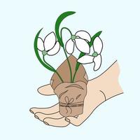 Snowdrops in paper packaging tied with string in hand. Cute Vector first flowers for spring design.