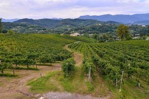 escénico rural paisaje foto