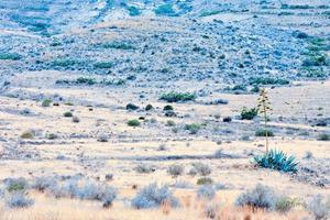 Scenic rural landscape photo