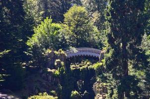 White bridge in the forest photo