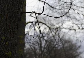 Eyeglasses hanging on the tree branch. Lost glasses on the tree with blurred background. Soft bokeh. Winter evening in the park. photo