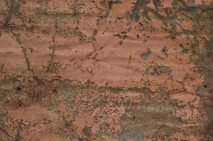 Rust and oxidized background. Old iron panel. Red, brown and black rust on the metal plate. Grunge rusted metal abstract texture. Rusted metal wall. Rusty metal surface with streaks of rust. photo