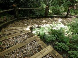 Curved woodland trail in the Smoky Mountains photo