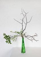 Bouquet in the Asian style, ikebana. Roots, tree branches, blueberries. In a green vase or bottle. White background photo