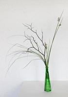 Bouquet in Asian style. A branch with moss, marsh grass, a green bottle on a white background. Asian minimalism photo