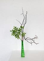 ramo de flores en el asiático estilo, ikebana. raíces, árbol sucursales, arándanos en un verde florero o botella. blanco antecedentes foto