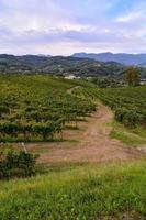 escénico rural paisaje foto