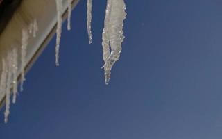 Spring drops falls down from long crystal melting icicles hanging down before clear blue sky on bright sunny thaw day. The concept of the beginning of spring, the end of winter, thaw. photo