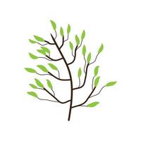 Trees with branch and leaves art decoration isolated. vector