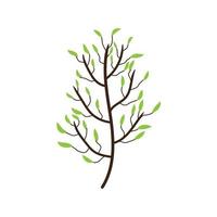 Trees with branch and leaves art decoration isolated. vector
