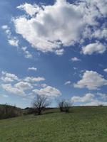 White clouds in the blue sky, green meadows photo