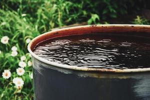 agua barril para el jardín, coleccionar agua de lluvia foto