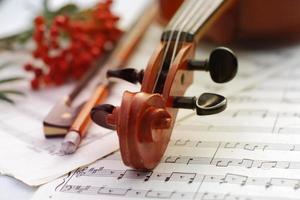 Violin and bow on natural light background photo