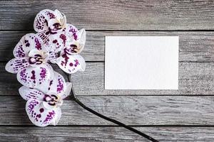 púrpura y blanco orquídea flores con blanco tarjeta en de madera backgr foto