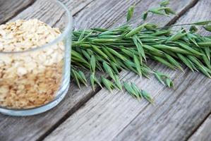 Oatmeal flakes and green oat on wooden table, copy space photo