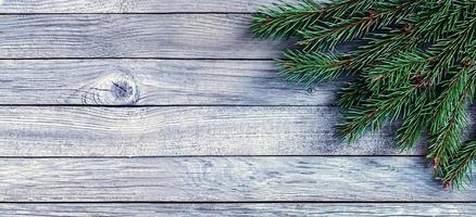 green christmas tree branches on gray  wooden background without decorations photo