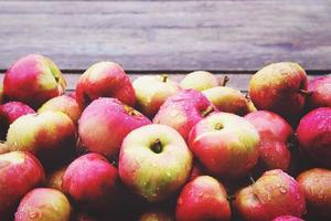Apples picked in organic household garden in autumn