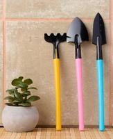 Miniature garden tools for transplanting plants, home hobby photo