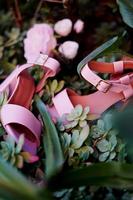 Pink womens sandals a spring style collection photo