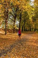 Autumn sunlay in the leaves on which the girl goes photo