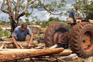 Father and son working in a sawmill. photo