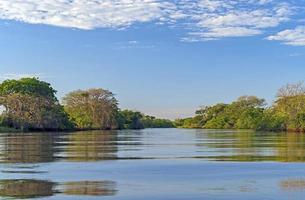 noche ligero en el pantanal foto