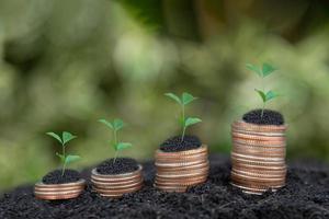 Growing Money business finance and saving money investment , Money coin stack growing graph, Digital plant growing up on coins. Balance savings and investment. photo