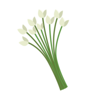 pastel hand draw flowers png