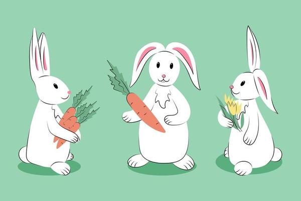 Cute white rabbits with carrots and tulips in paws. Isolated illustration on pastel green background. Cartoon vector characters. Greeting card, poster