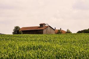 Scenic rural landscape photo