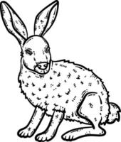 Rabbit Animal Coloring Page for Adult vector