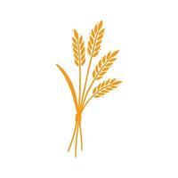 Wheat, barley, rice icon. Hand drawn vector