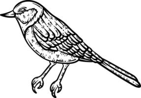 Bird Animal Coloring Page for Adult vector