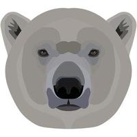 Polar bear. The face of the wild animal of Antarctica is depicted in vector style. Bright image of an animal. Logo, illustration isolated on white background.