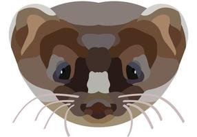 Mongoose. The face of a wild animal is depicted in vector style. Bright image. Logo, illustration isolated on white background.