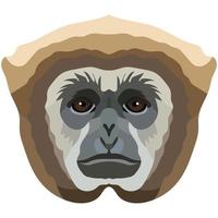 Gibbon. The face of the monkey is depicted in vector style. A vivid image of a primate. Logo, illustration isolated on white background.