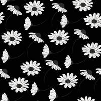 A black and white background with daisy flowers vector