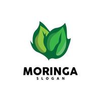 Leaf Logo, Eco Green Plant Vector, Green Earth Care Recycling Design, Moringa Leaf Logo Icon Template Illustration vector