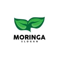 Leaf Logo, Eco Green Plant Vector, Green Earth Care Recycling Design, Moringa Leaf Logo Icon Template Illustration vector