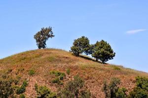 Scenic mountain landscape photo