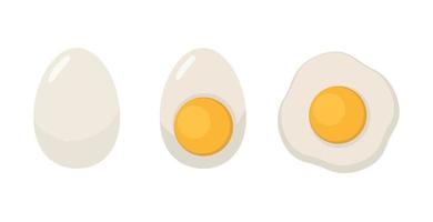 Boiled egg isolated on white background. Fried egg or scrambled egg isolated. vector