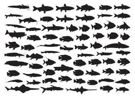 colección de siluetas de varios tipos de pescado vector