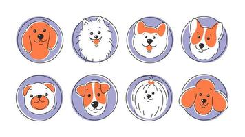 conjunto de caras de perros de diferentes razas. corgi, akita, spitz, dachshund, caniche, terrier, pug. Ilustración vectorial sobre fondo blanco vector