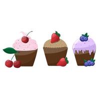 Set of three sweet tasty chocolate cupcakes with berries on white. Confectionery treat, brownie, blueberry, strawberry, cherry, vector