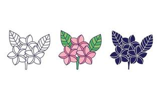 Frangipani flower vector icon