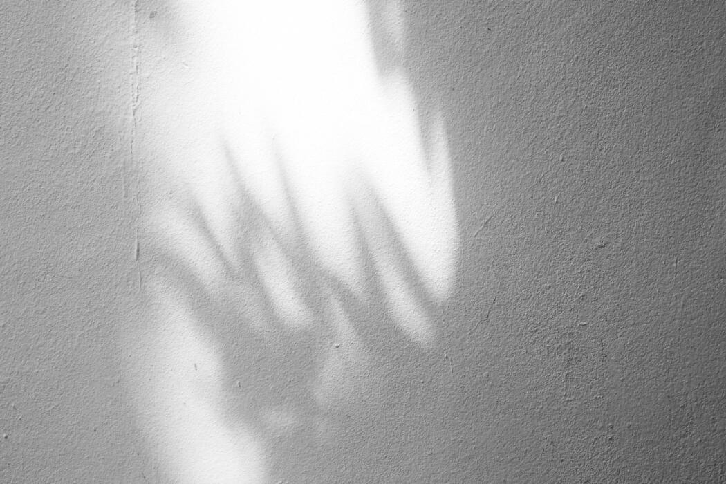 White Shadow Stock Photos, Images and Backgrounds for Free Download