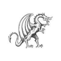 continuar medieval heráldico animal monstruo bosquejo vector