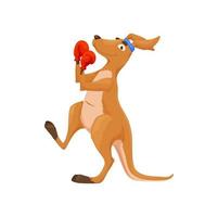 Cartoon boxing kangaroo character, animal boxer vector