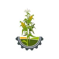 Agriculture icon, field of corn in cogwheel circle vector